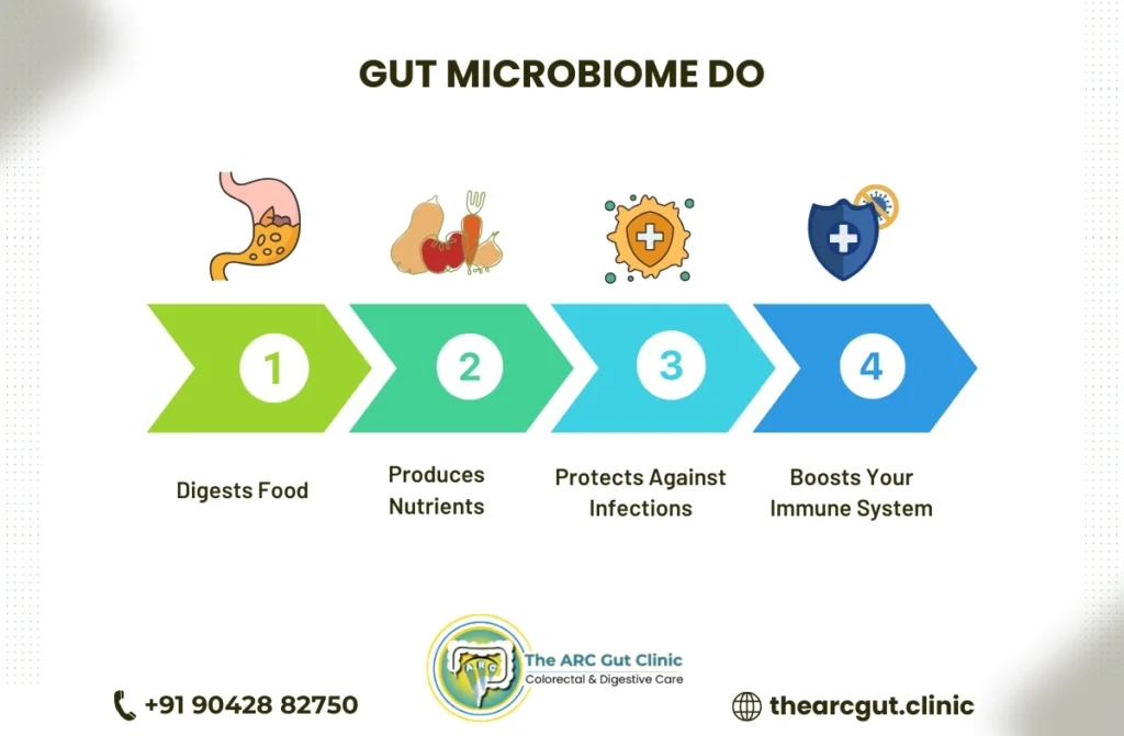 the gut microbiome