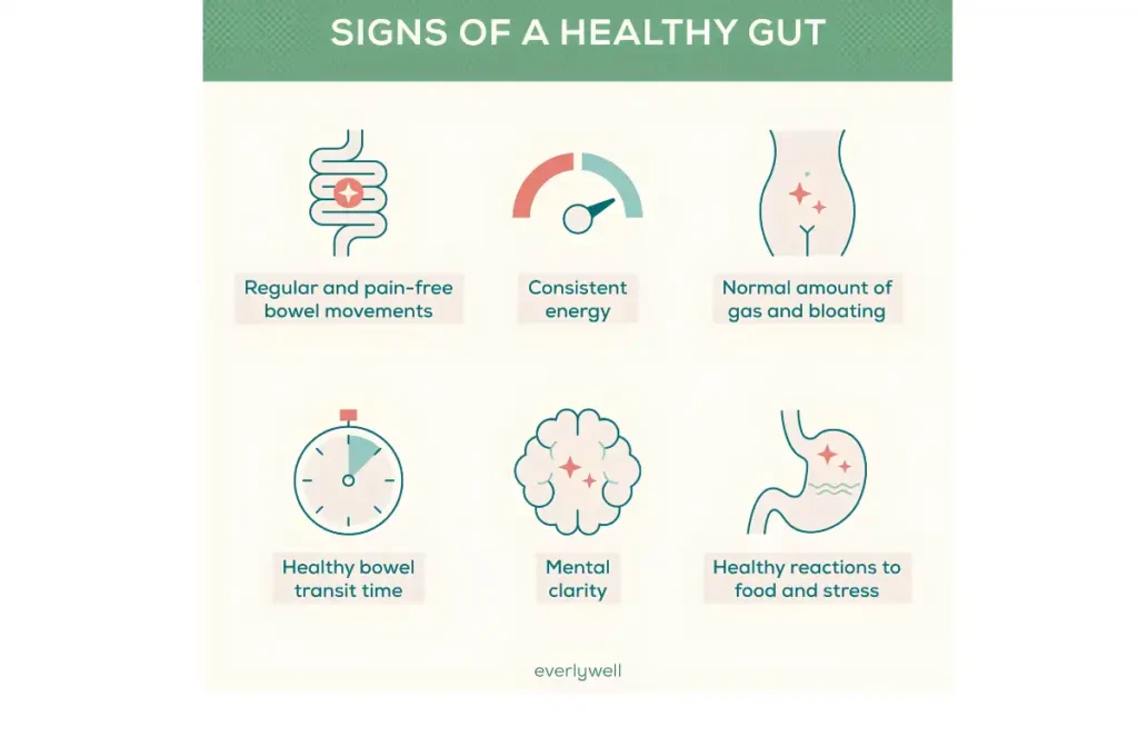 Digestive and Gut Health Tests in Chennai