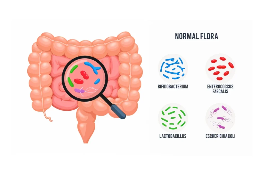 The Gut Microbiome