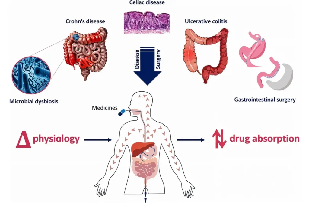 All Disease Begins in the Gut