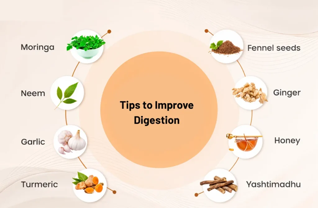 Tips to Improve Digestion